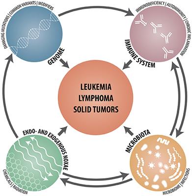 Primary Immunodeficiency and Cancer Predisposition Revisited: Embedding Two Closely Related Concepts Into an Integrative Conceptual Framework